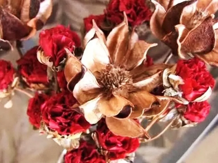 Fiori secchi