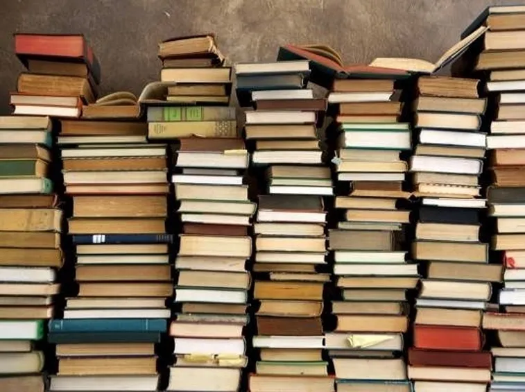 libri fonte=google immagini
