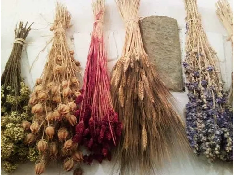 fiori essiccati Fonte= Google immagini