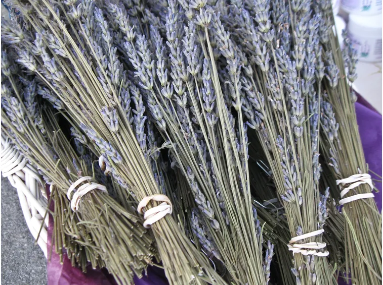 Mazzetti di fiori di lavanda da essiccare