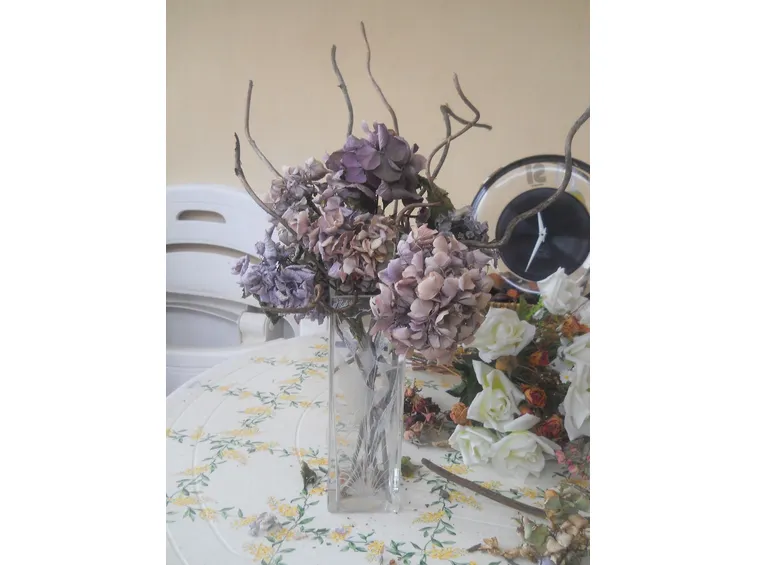 Vaso con piante secche