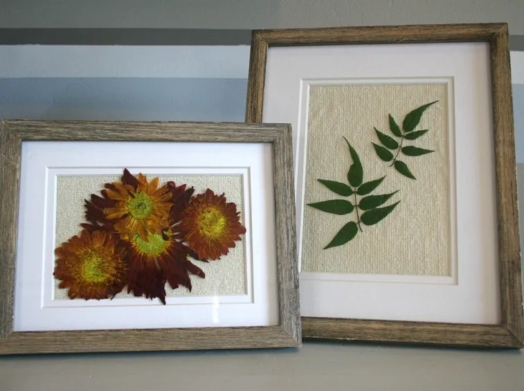 Quadri realizzati con fiori e foglie essiccati
