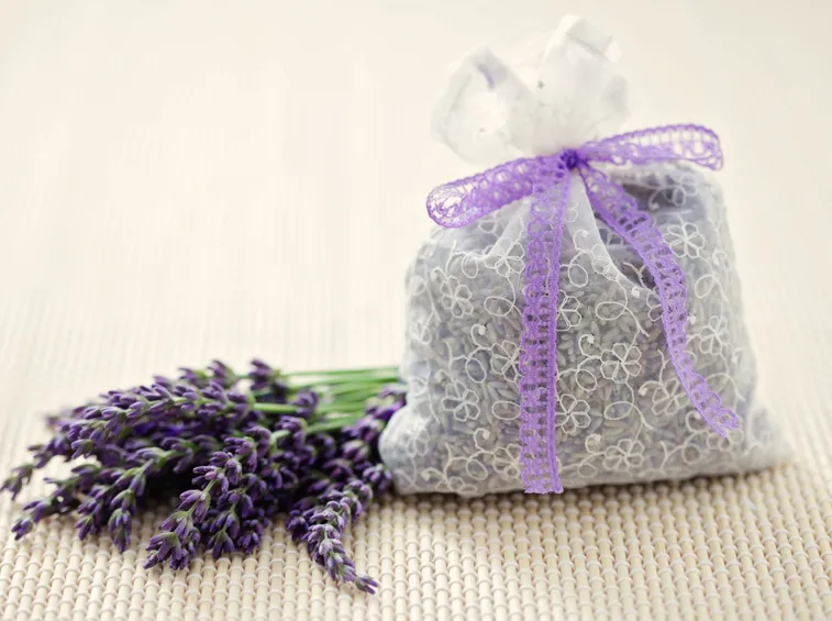 Sacchetto di lavanda