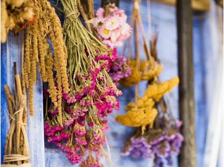 Una composizione di fiori e piante secche