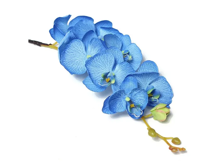 Le rose blu sono molto apprezzate dagli orchidofili 