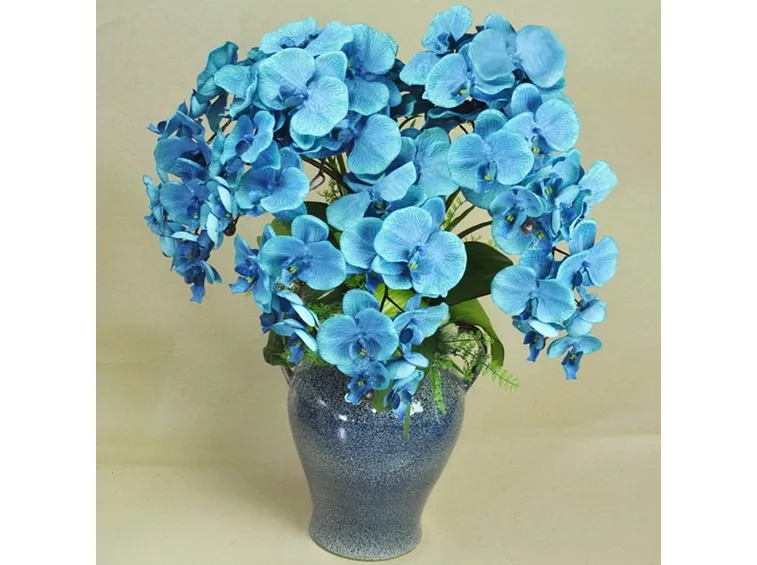 I fiori di Vanda Coerulea 
