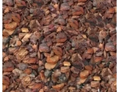 terriccio per orchidee