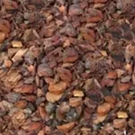terriccio per orchidee