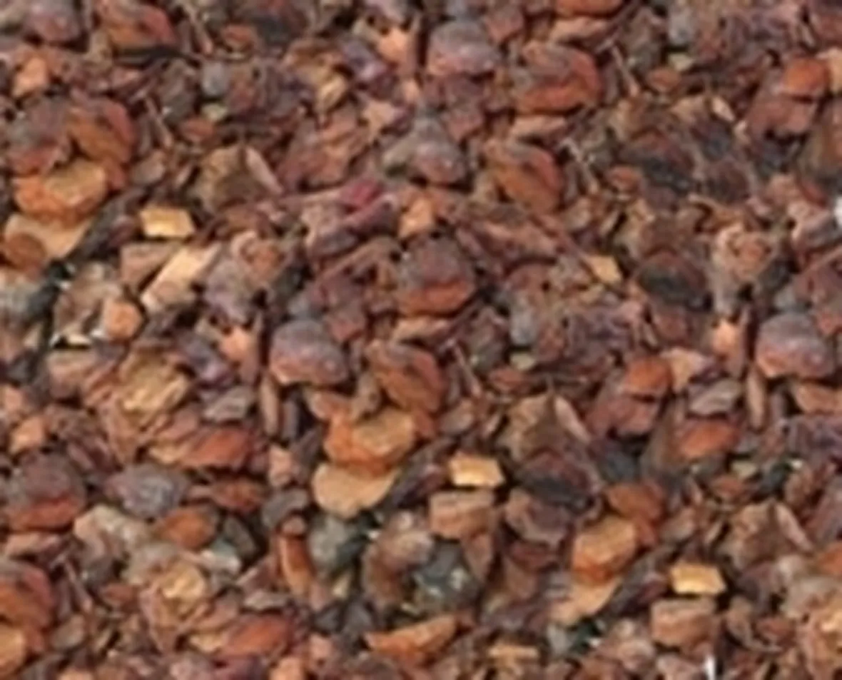 terriccio per orchidee