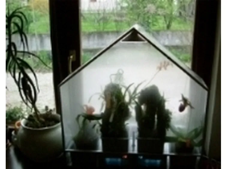 Una tipica serra per orchidee