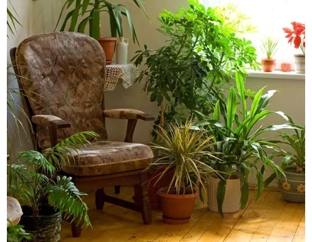 Un lussureggiante angolo verde