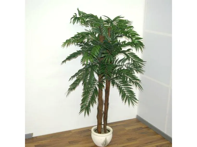 Areca artificiale