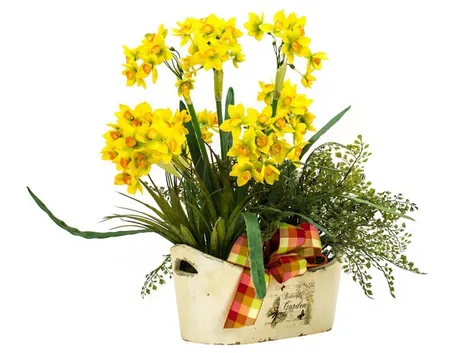 pianta sintetica di narcisi