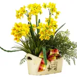 pianta sintetica di narcisi