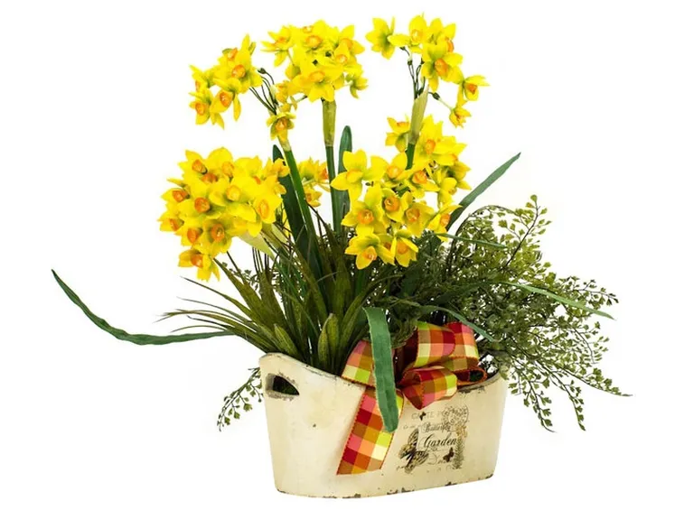 pianta sintetica di narcisi