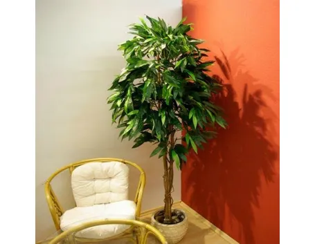 pianta finta mango