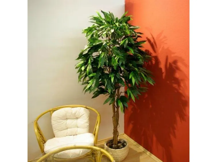 pianta finta mango