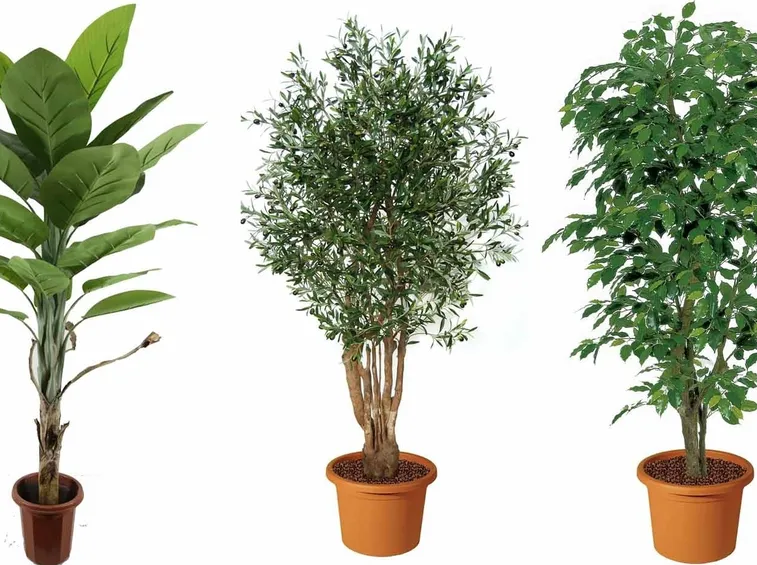 piante finte da esterno