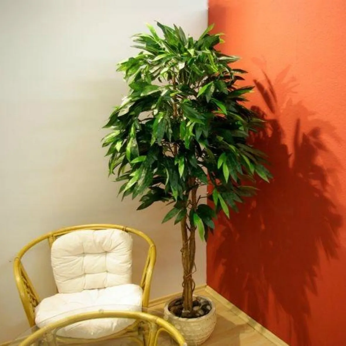 pianta finta mango