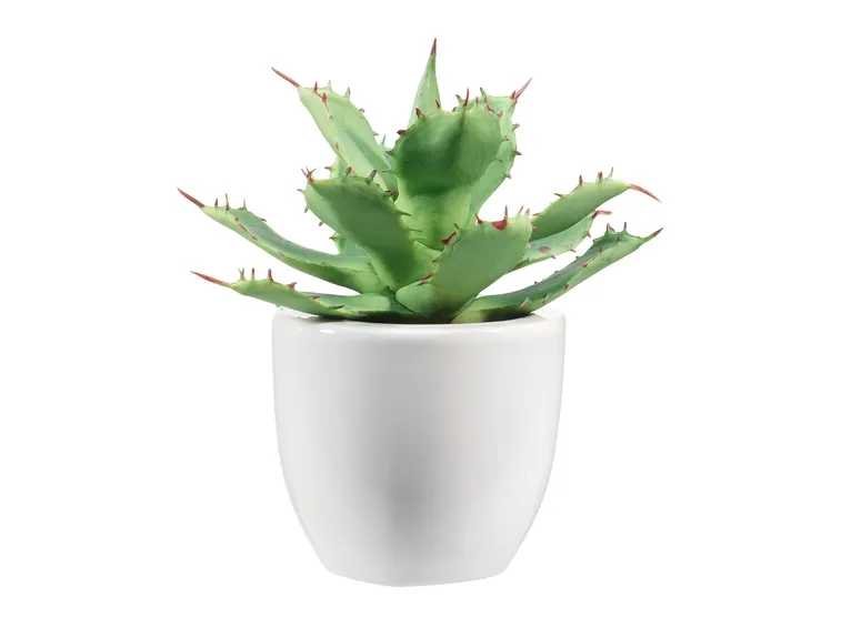 Un prodotto con vaso