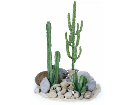 cactus artificiali