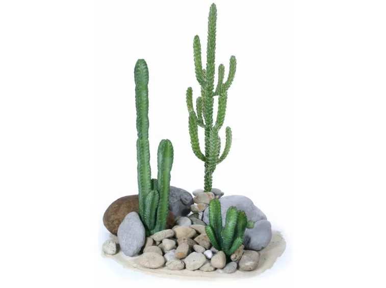 cactus artificiali