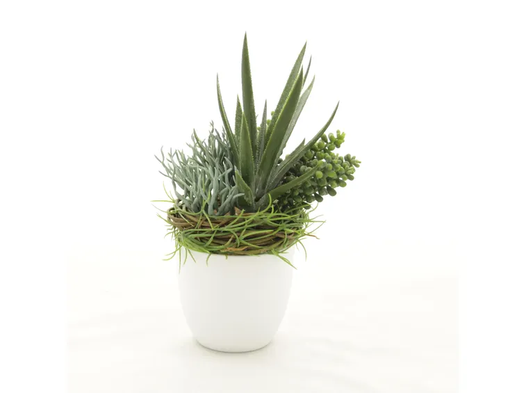 composizione in vaso di piantine sintetiche