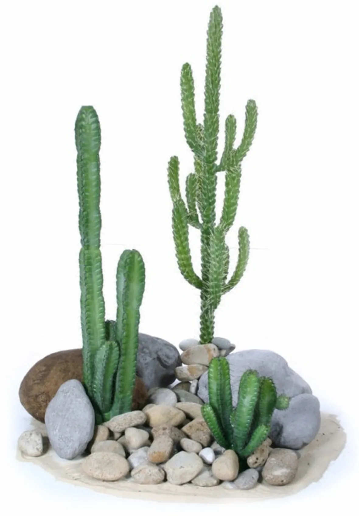 cactus artificiali