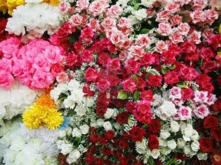 Fantasia di fiori artificiali