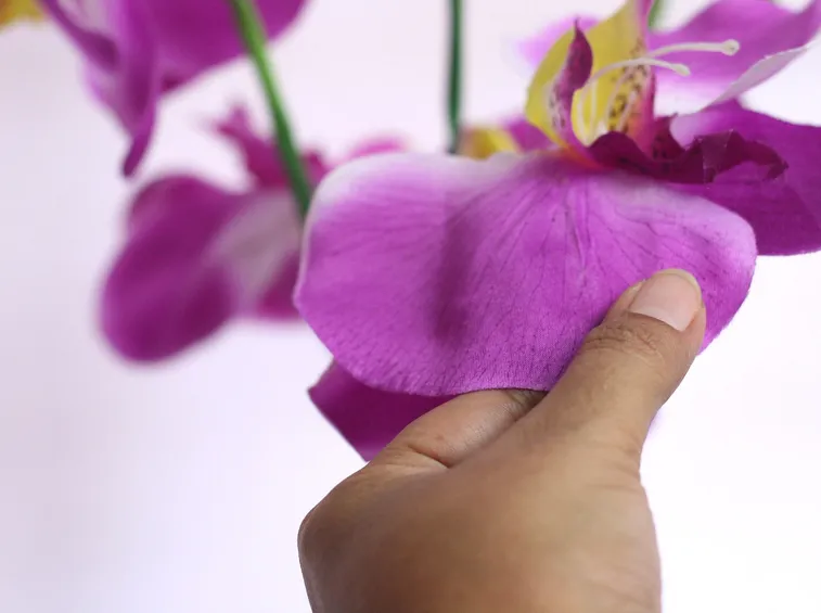 Quasi reale al tatto e alla vista questa orchidea di seta