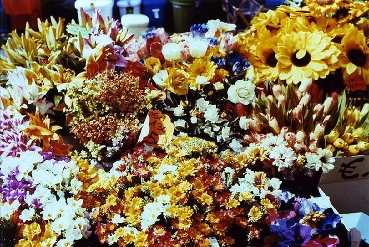fiori finti