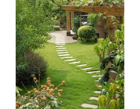 progettazione giardino