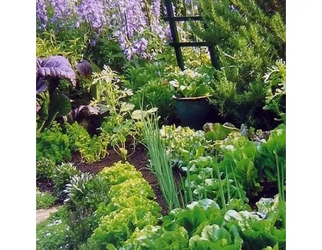 giardino fiorito