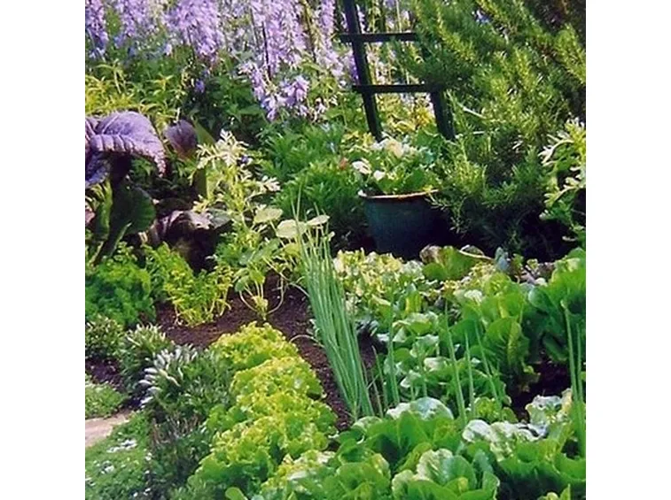 giardino fiorito