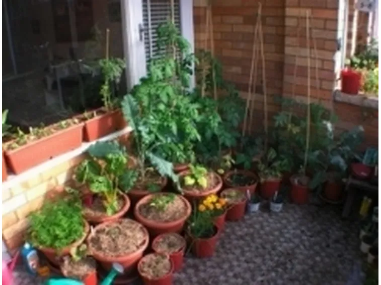 giardinobalcone