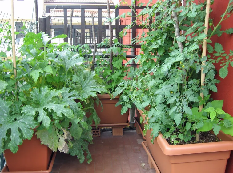 orto balcone