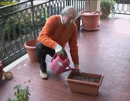 foto aromatiche