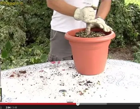 tecniche giardinaggio