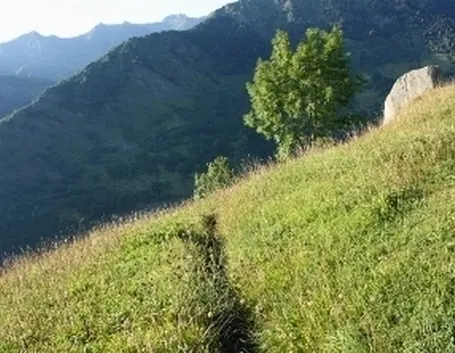 prato montano