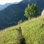 prato montano