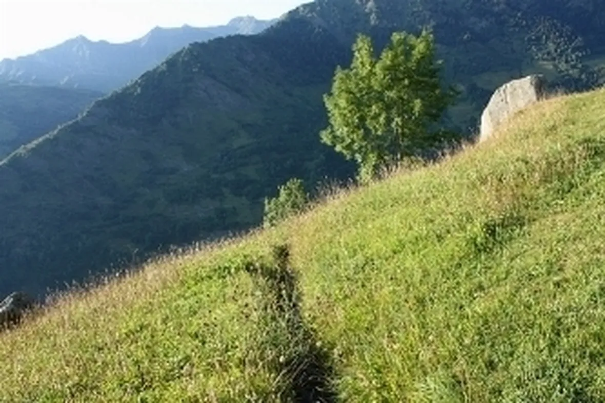 prato montano