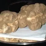 tartufobianco1