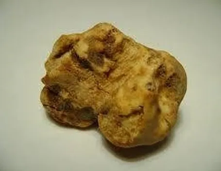 tartufodalba