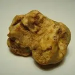 tartufodalba