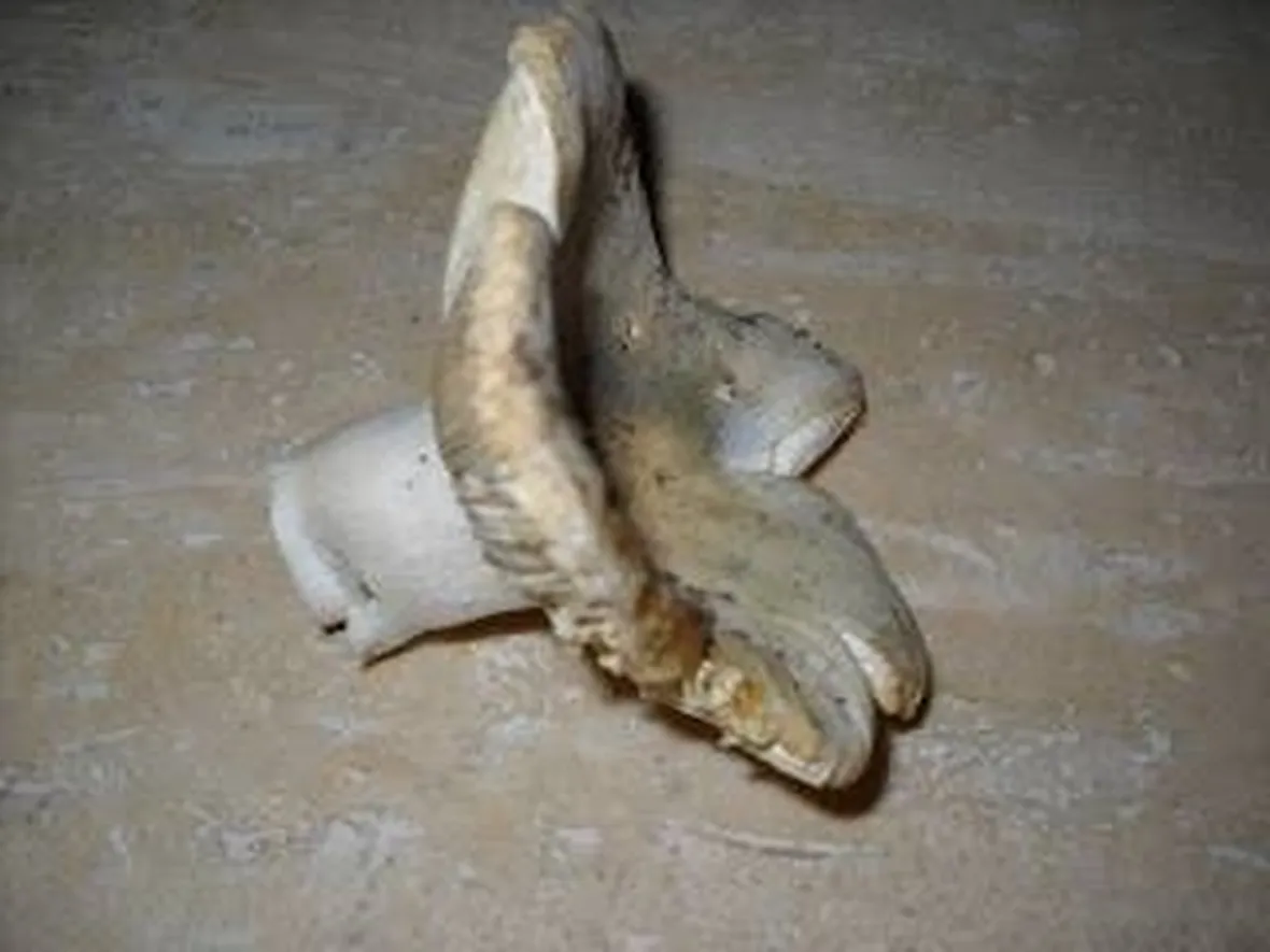 verdone2