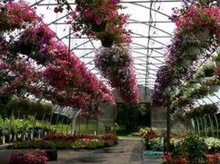 gardencenter2