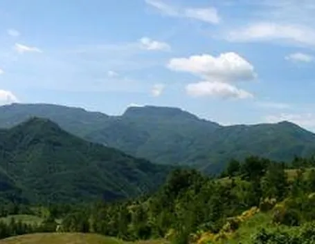 campigna1