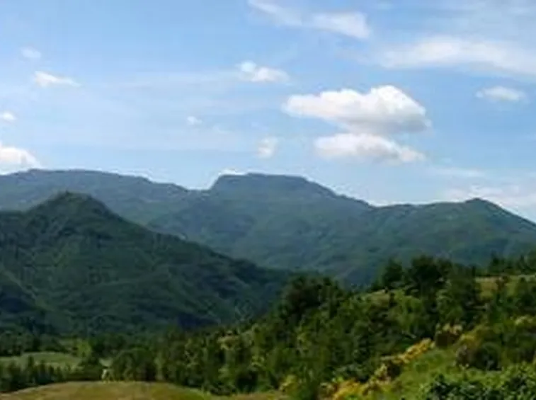 campigna1