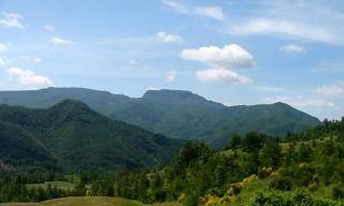 campigna1