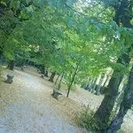 castellosanpelagio2